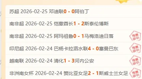 細節至上的圖赫爾，凱恩是我精神支柱