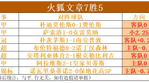 新疆国际赛事训练营汇聚，友谊与竞技同辉